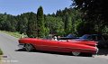 6110_DSC_3738 r